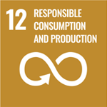 RESPONSIBLE CONSUMPTION AND PRODUCTION