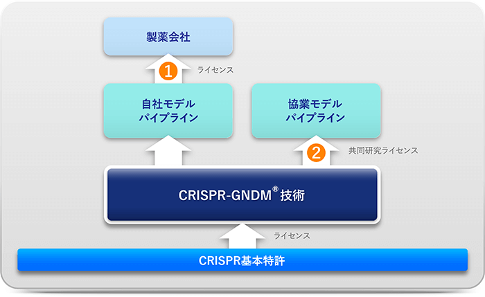 自社モデルパイプラインと協業モデルパイプラインのハイブリッドを重層展開