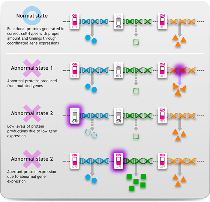 Genetic disorders are caused by errors in code or epigenetics