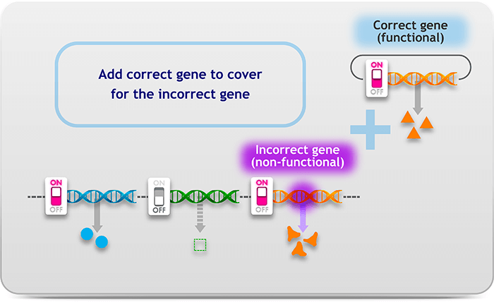 Delivering correct DNA sequence to supplement loss of function