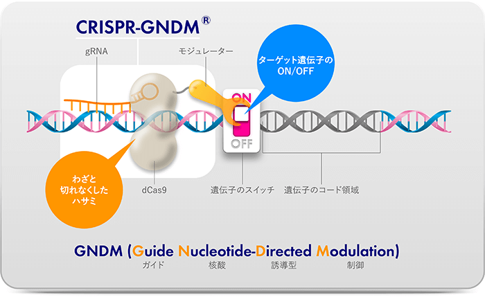 独自の創薬プラットフォームシステム