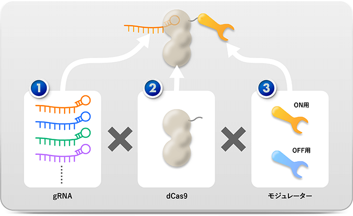 病気ごとに創り分けるCRISPER-GNDM分子